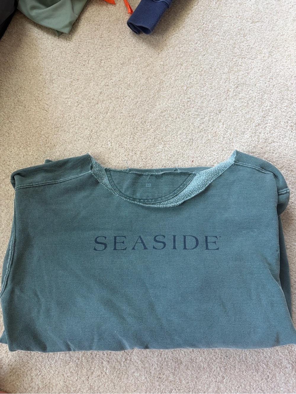 Seaside Graphic Pullover Sweatshirt - Teal Green